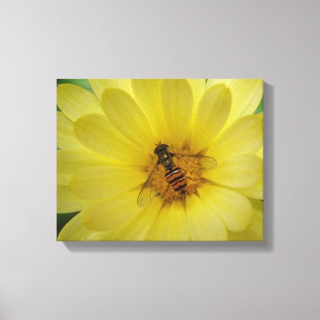Impressão de tela de Hoverfly em um Marigold (Frente)
