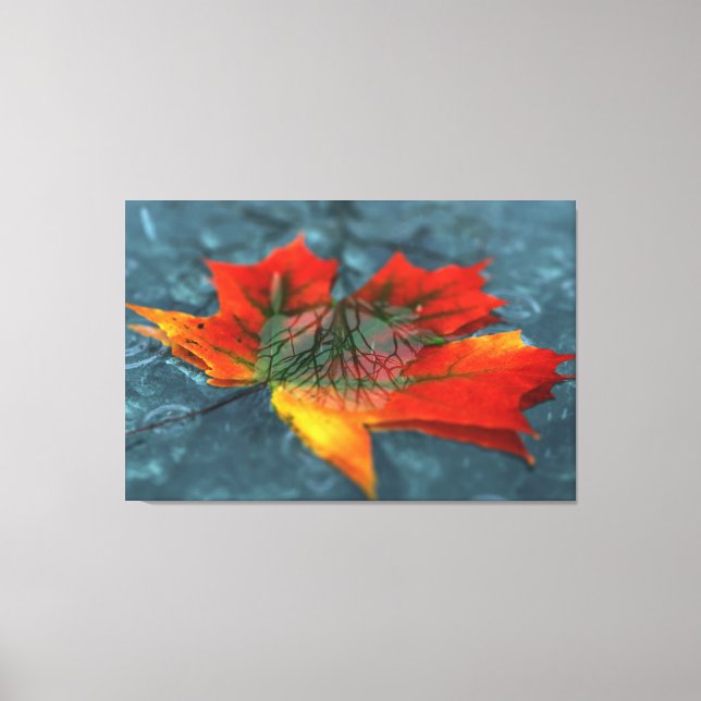 Impressão de Tela de Retroreflecção (Frente)