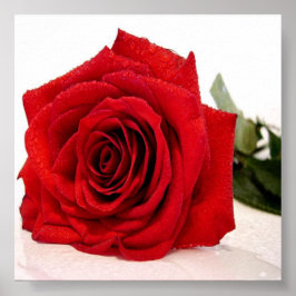 Impressão de tela de rosa Love