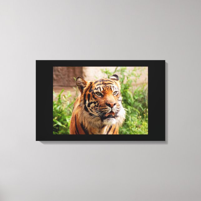 Impressão de tela de tigre preto e branco (Frente)