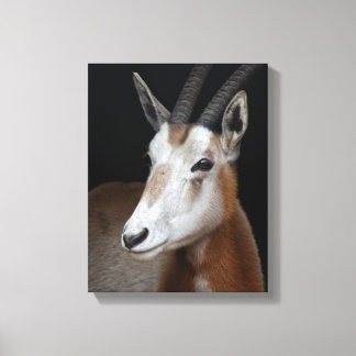 Impressão de tela em lona Oryx