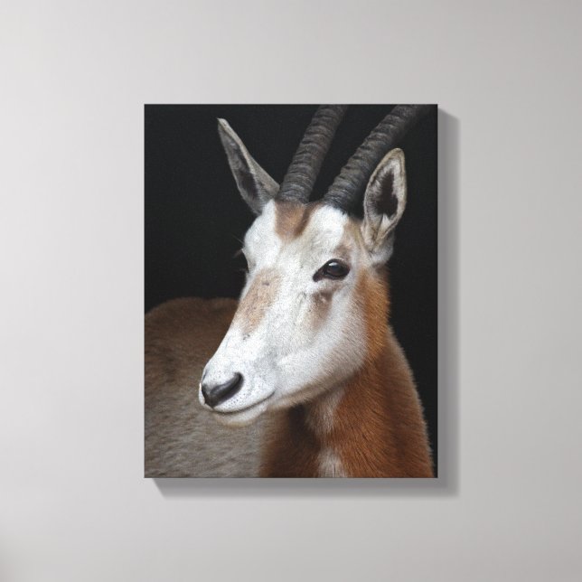 Impressão de tela em lona Oryx (Frente)