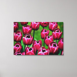 Impressão de tela estendida