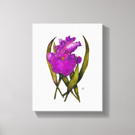 Impressão de tela estendida