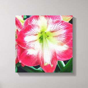 Impressão de tela estendida