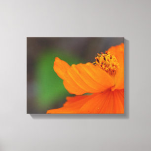 Impressão de Tela Floral Laranja