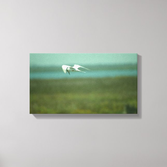 Impressão de tela - Terno em Voo (v.2) (Frente)