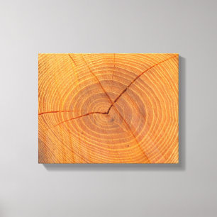 Impressão de Telas de Seção Cruzada da Árvore Acac