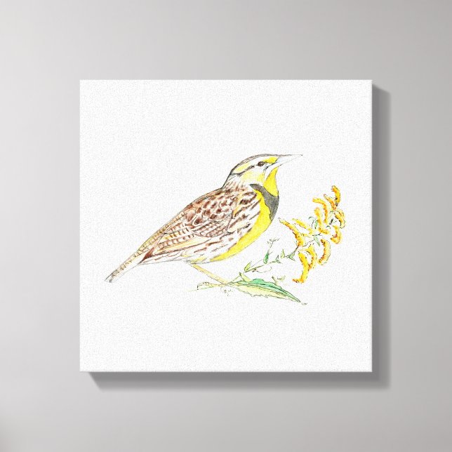 Impressão de Telas Esticadas do Nebraska (Frente)