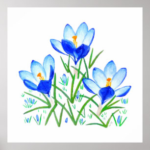 Impressão de Três Flores de Crocus Azuis