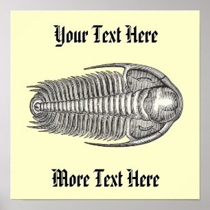 Impressão de Trilobite do vintage