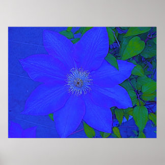Impressão de Urchin de Flor Azul