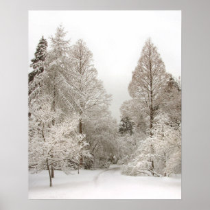 Impressão de Vancôver do inverno do poster do pa