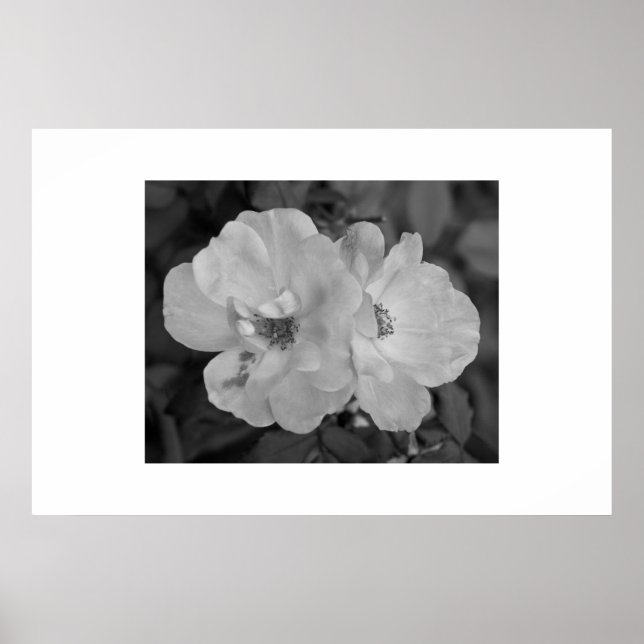 Impressão de ventilador (Frente)