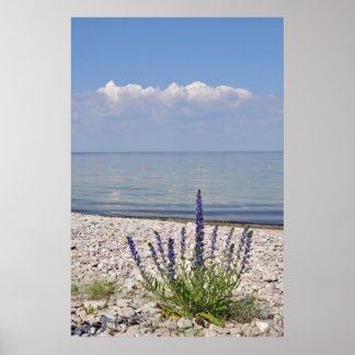 Impressão de Verão Sueco