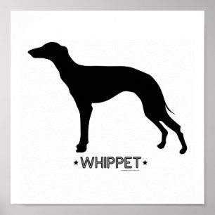Impressão de Whippet