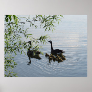 Impressão de Wild Geese