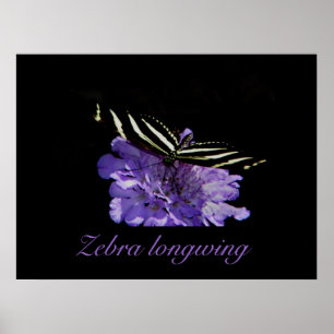 Impressão de zebra