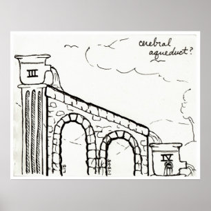 Impressão do aqueduto cerebral