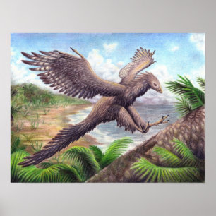 Impressão do Archaeopteryx