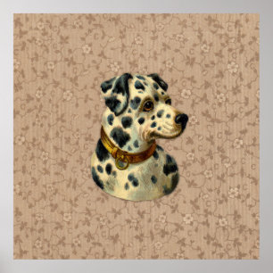 Impressão do cão de Dalmation do vintage