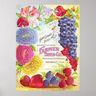 Impressão do Catálogo de Vintagens de Flores e Fru