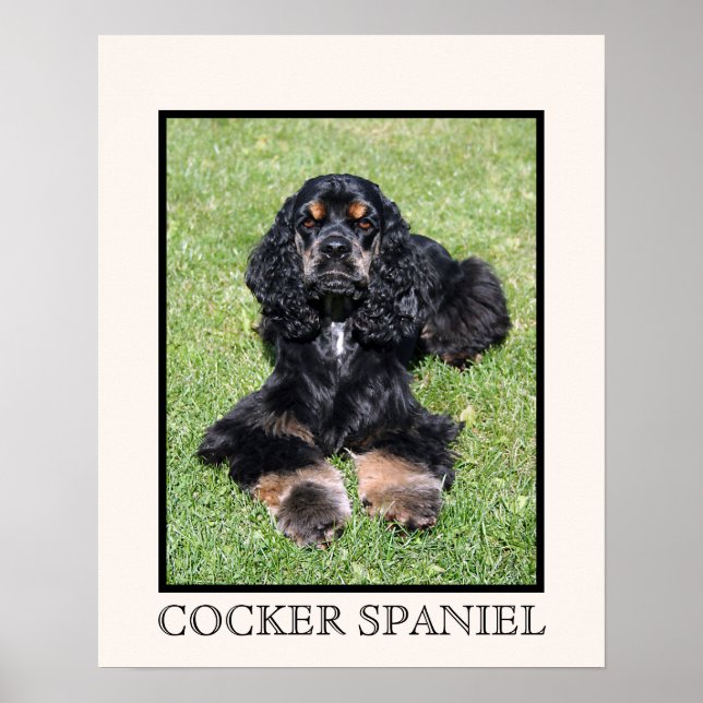 Impressão do Cocker Spaniel (Frente)