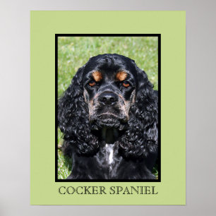 Impressão do Cocker Spaniel