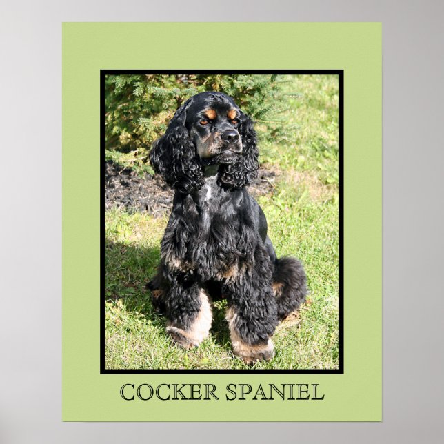 Impressão do Cocker Spaniel (Frente)