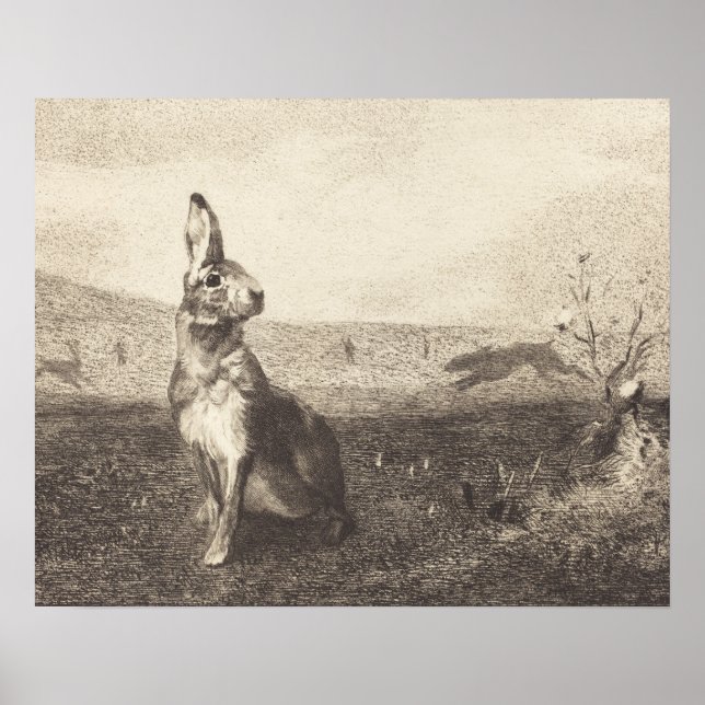 Impressão do coelho da Vintage (Frente)