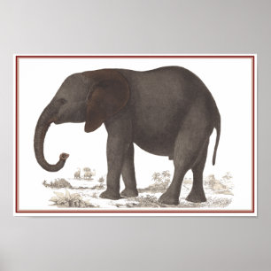 IMPRESSÃO DO ELEFANTE