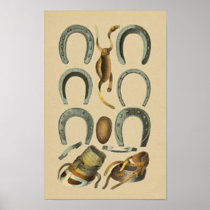 Impressão do Farrier 1898 dos calçados do cavalo