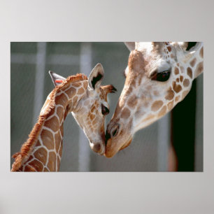 Impressão do girafa e do bebê
