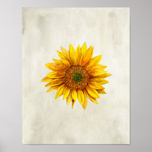 Impressão do girassol. Flor rústica do país da
