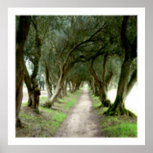 Impressão do Jardim Oleícola