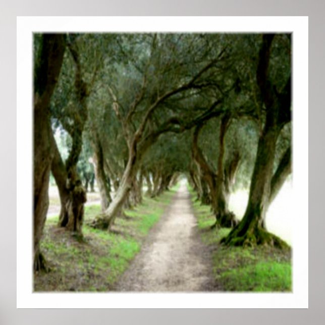 Impressão do Jardim Oleícola (Frente)