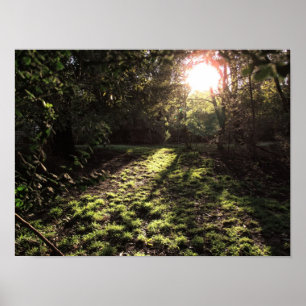 Impressão do Jardim Sunshine