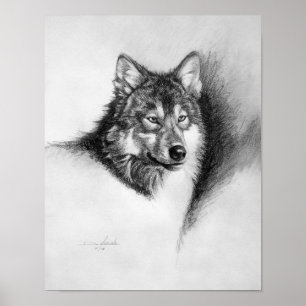 impressão do lobo