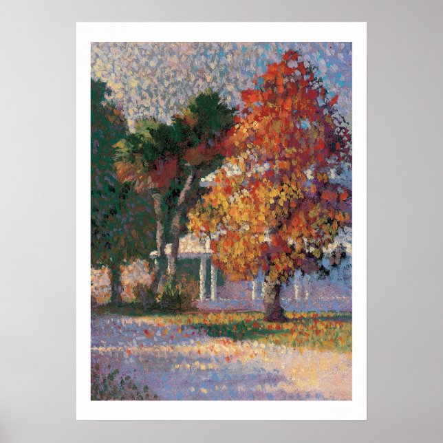 Impressão do Maple e Palm Trees (Frente)