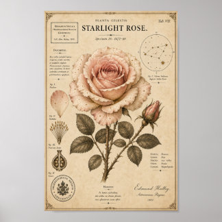 Impressão do Museu Botânico Vitoriano Rosa Starlig
