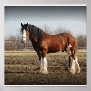 Impressão do parafuso prisioneiro de Clydesdale