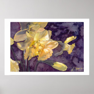 Impressão do poster da aguarela dos daffodils do