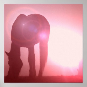 Impressão do poster da silhueta do cavalo