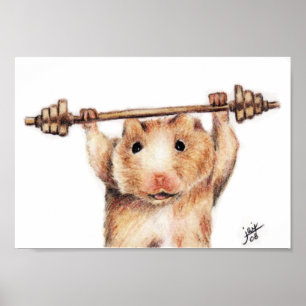 Impressão do poster do exercício (hamster)