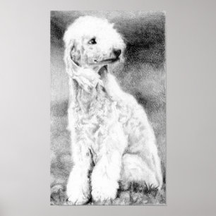 Impressão do poster do retrato do cão de