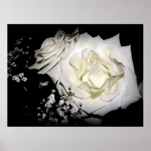 Impressão do rosa branco