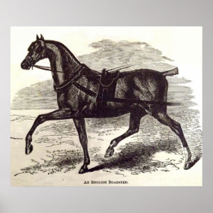 impressão do século 19 Um cavalo de galeria ingl