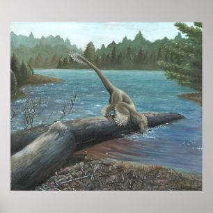 Impressão do Sinornithosaurus