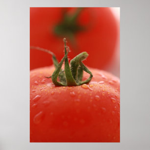 Impressão do tomate