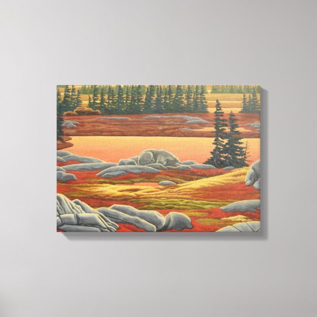 Impressão do Urso de Pintura na Paisagem Canadense (Frente)